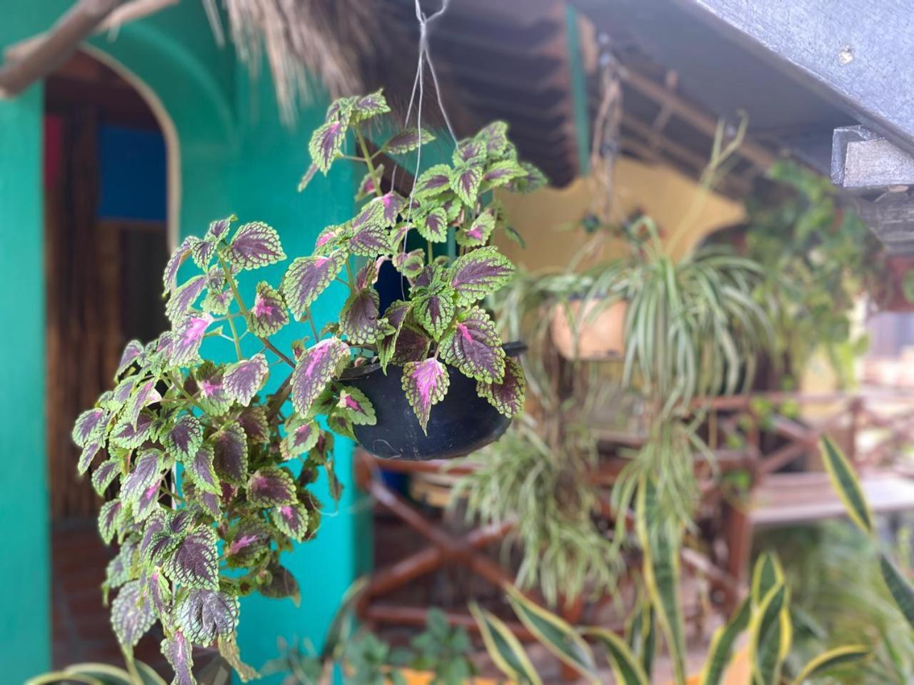 سان فرانسيسكو Hotel Artesanal المظهر الخارجي الصورة